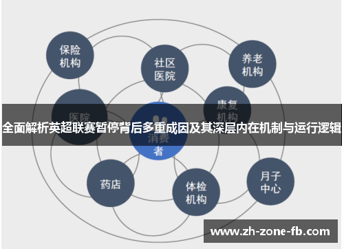 全面解析英超联赛暂停背后多重成因及其深层内在机制与运行逻辑