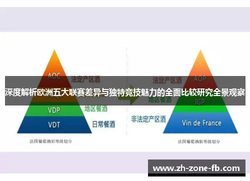 深度解析欧洲五大联赛差异与独特竞技魅力的全面比较研究全景观察